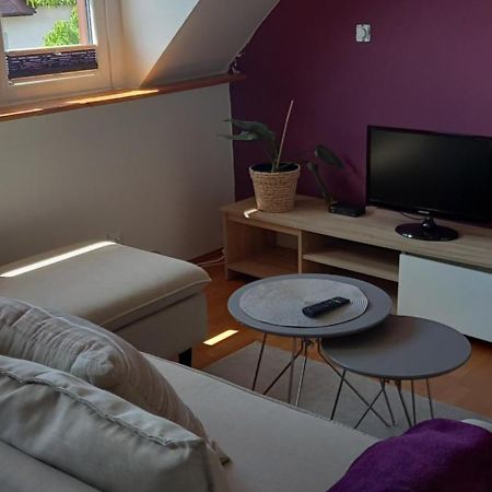 Domek Pod Sosnami Pokoje 2-3 Osobowe Apartment Миелно Екстериор снимка